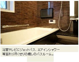 Bathroom. Same specifications site (May 2013) Shooting Example of construction