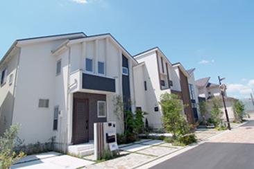 Rendering (appearance). Same construction cases