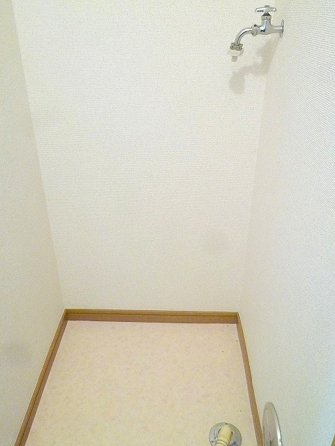 Other room space. Washing machine in the room