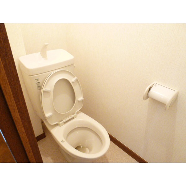 Toilet. It is a new article.