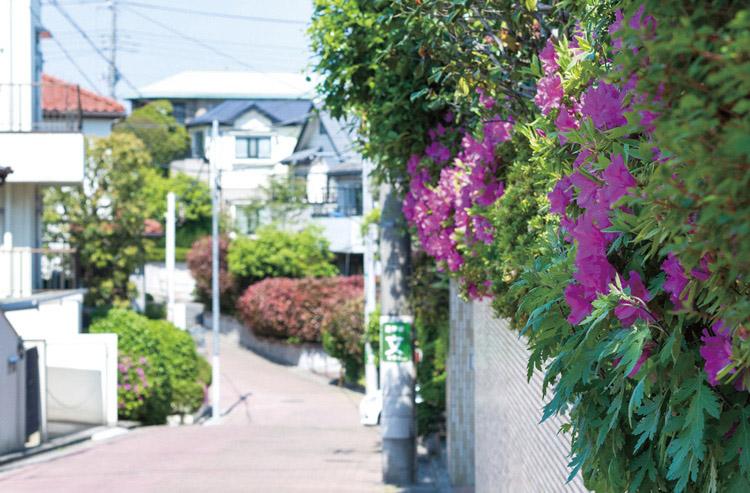 Streets around. 340m to the peripheral local