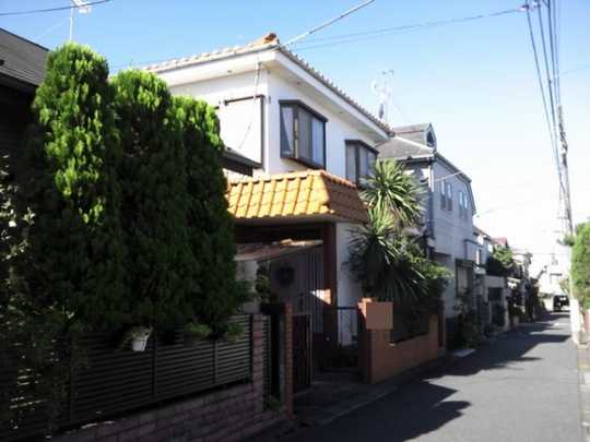 Local land photo. Appearance 1