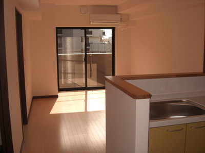 Living and room. ☆ Face-to-face is a kitchen two-burner stove grill ☆