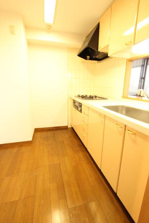 Kitchen. Shakujii Park Mansion