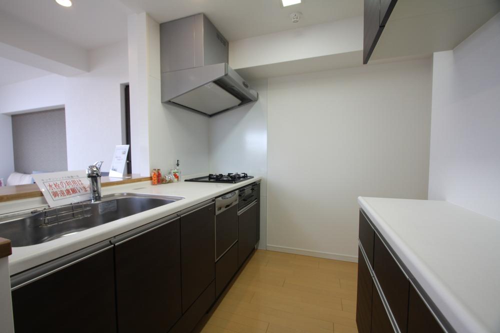 Kitchen. Indoor (10 May 2013) Shooting