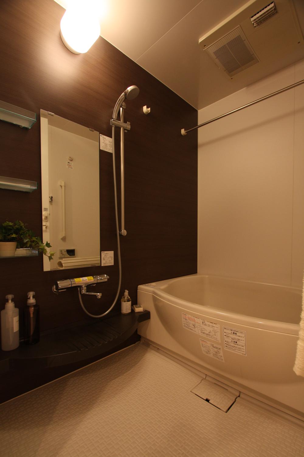 Bathroom. Indoor (10 May 2013) Shooting