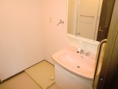 Washroom. Laundry Area