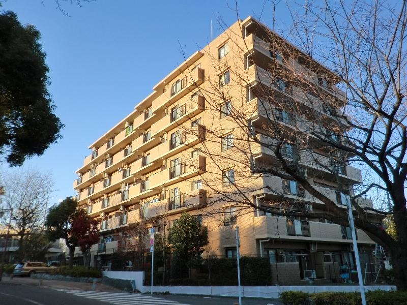 Local appearance photo. Local (12 May 2013) is a dignified appearance of paste shooting tile