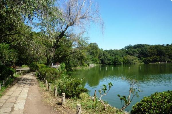 park. 2000m to Zenpukuji park