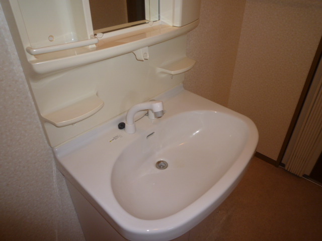 Washroom. Convenient Shampoo dresser