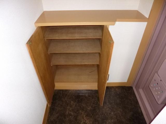 Receipt. Footwear input