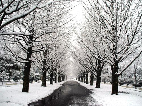 Other. Hikarigaoka park