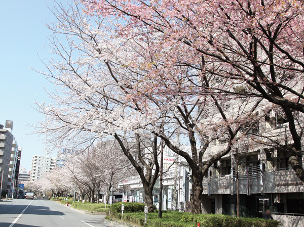 Surrounding environment. Senkawa Street (2-minute walk / About 125m)