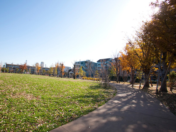 Surrounding environment. Nakamura Kashiwa park (4-minute walk / About 290m)
