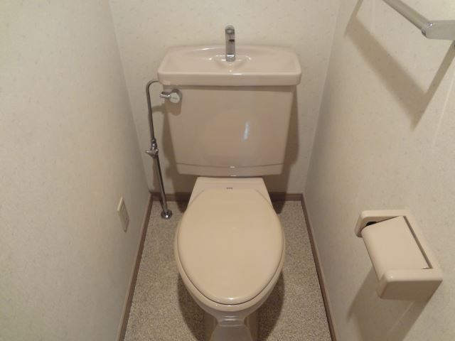 Toilet. Toilet spacious