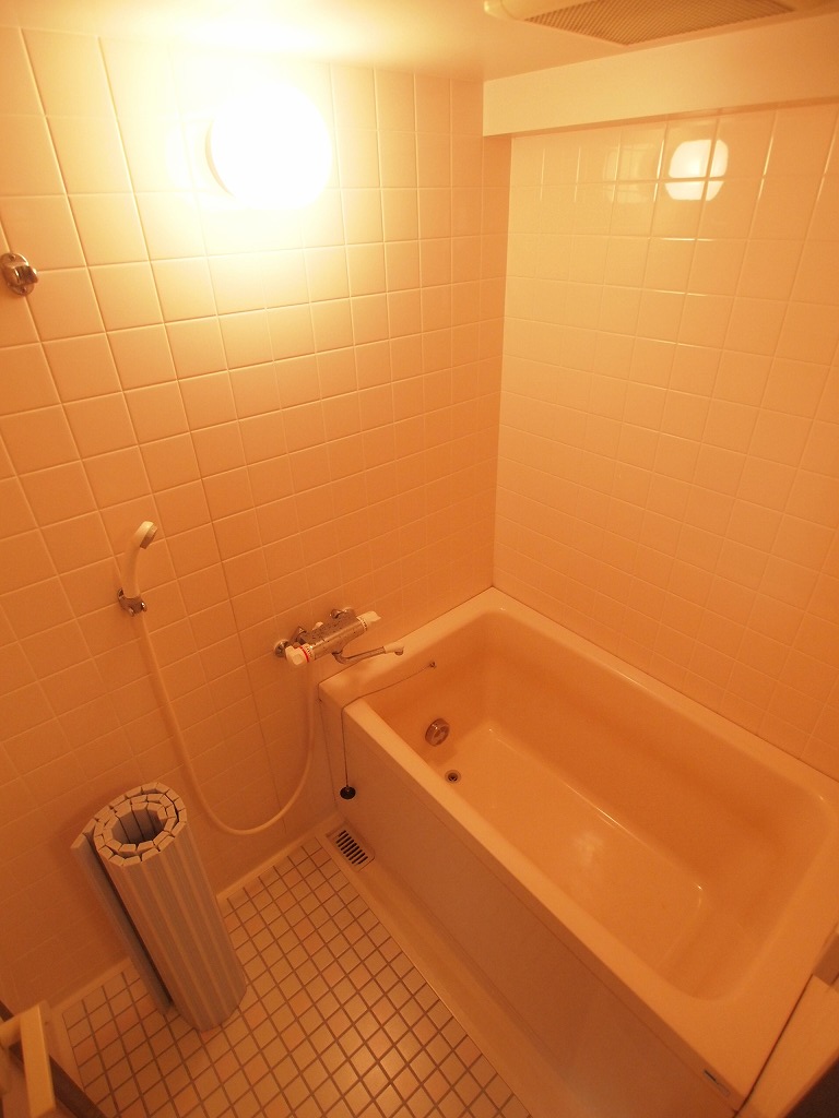 Bath. With reheating function