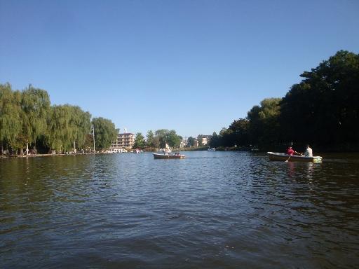 Other. Shakujii Park