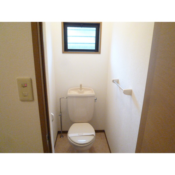 Toilet. Western style, There are window.