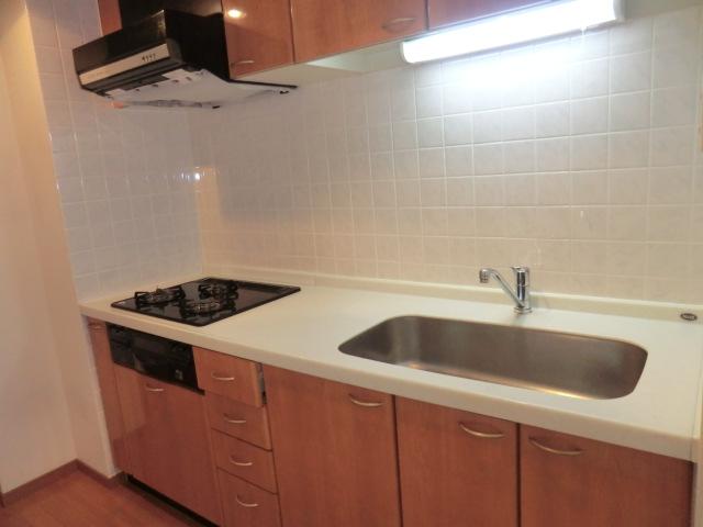 Kitchen. Indoor (10 May 2013) Shooting