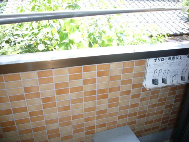 Balcony. Green is the veranda.