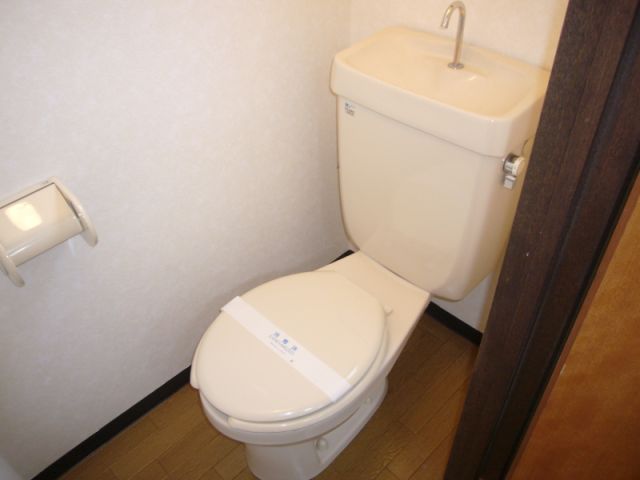 Toilet. Clean toilets