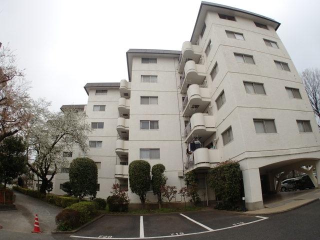 Local appearance photo. Local (March 2013) Shooting