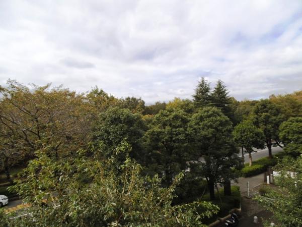 View photos from the dwelling unit