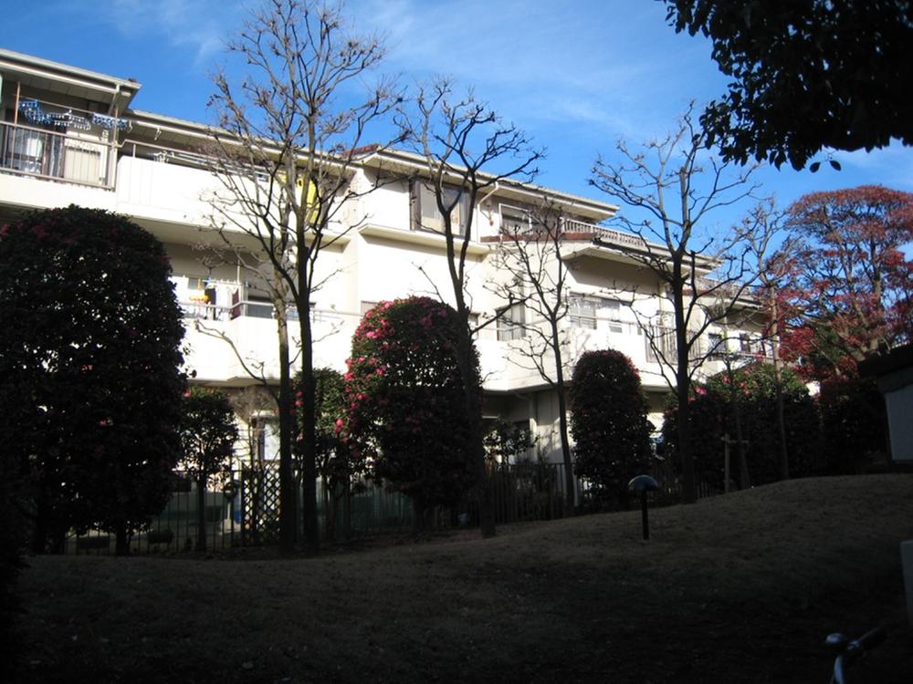 Local appearance photo. Local (12 May 2013) Shooting