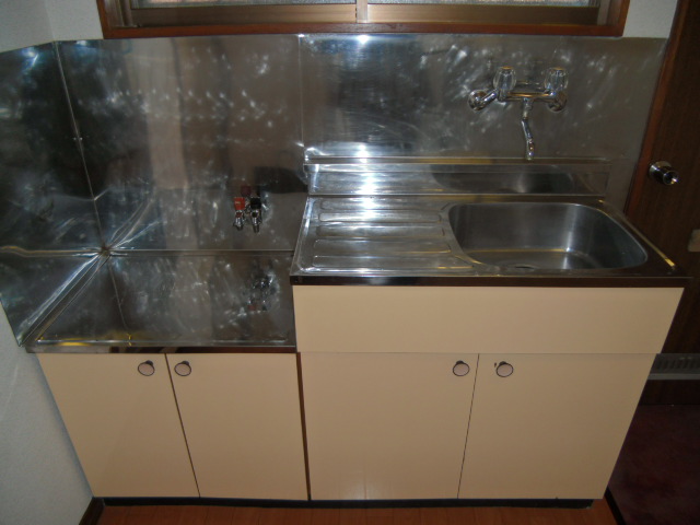 Kitchen. Sink