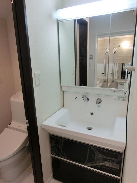 Wash basin, toilet. Same specification equipment Bathroom vanity