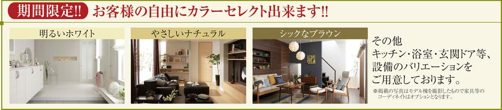 Other. Free Color Select (limited time only)