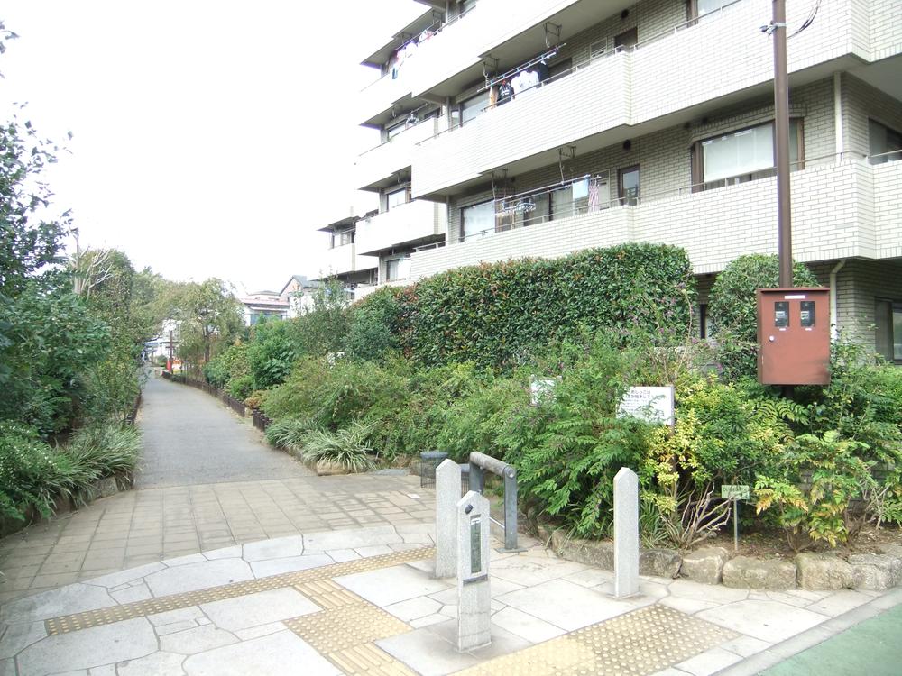 Other. Pedestrian path