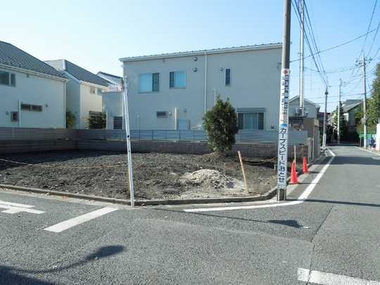 Local land photo. Appearance 1