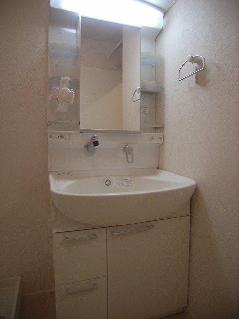 Washroom. Washbasin with handheld shower