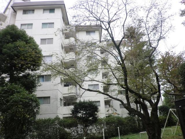 Local appearance photo. Local (11 May 2013) Shooting