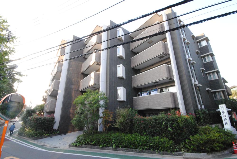 Local appearance photo. Local (11 May 2012) shooting