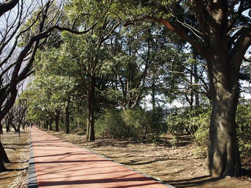 park. 630m until Wako forest park