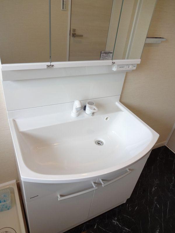 Wash basin, toilet. Bathroom vanity