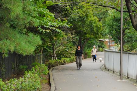 park. Creel the 404m to the park