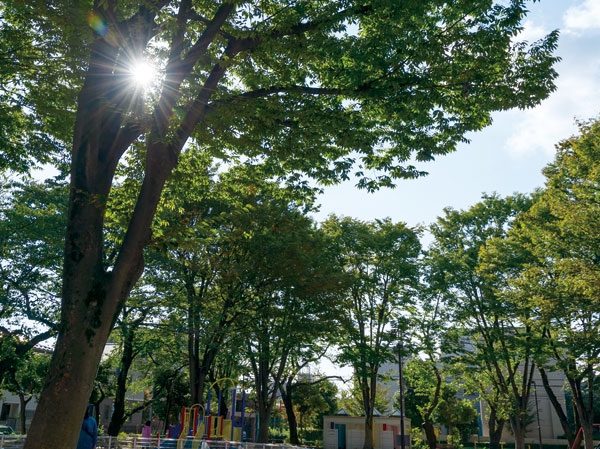 Surrounding environment. Toyotamanishiki park (2 minutes walk ・ 130m)