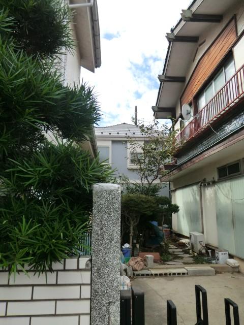 Local land photo. Local Photos