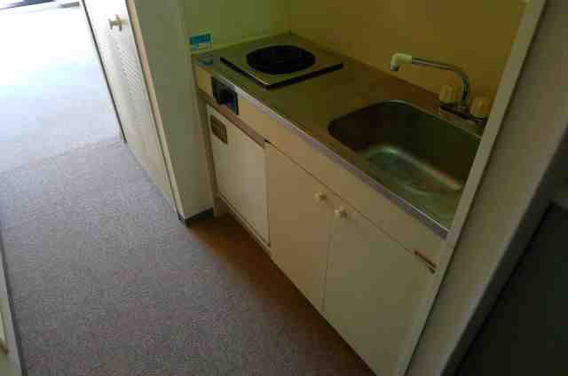 Kitchen. It will be the photo of the same type inversion of the room