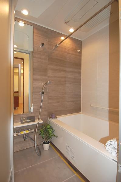 Bathroom. With mist sauna