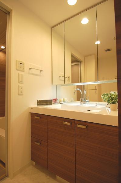 Wash basin, toilet. Spacious basin space