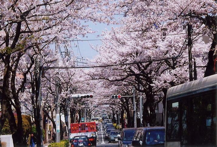 Streets around. 180m until Oizumigakuen Street