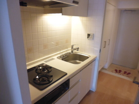 Kitchen. 2 lot gas stoves of the system kitchen!