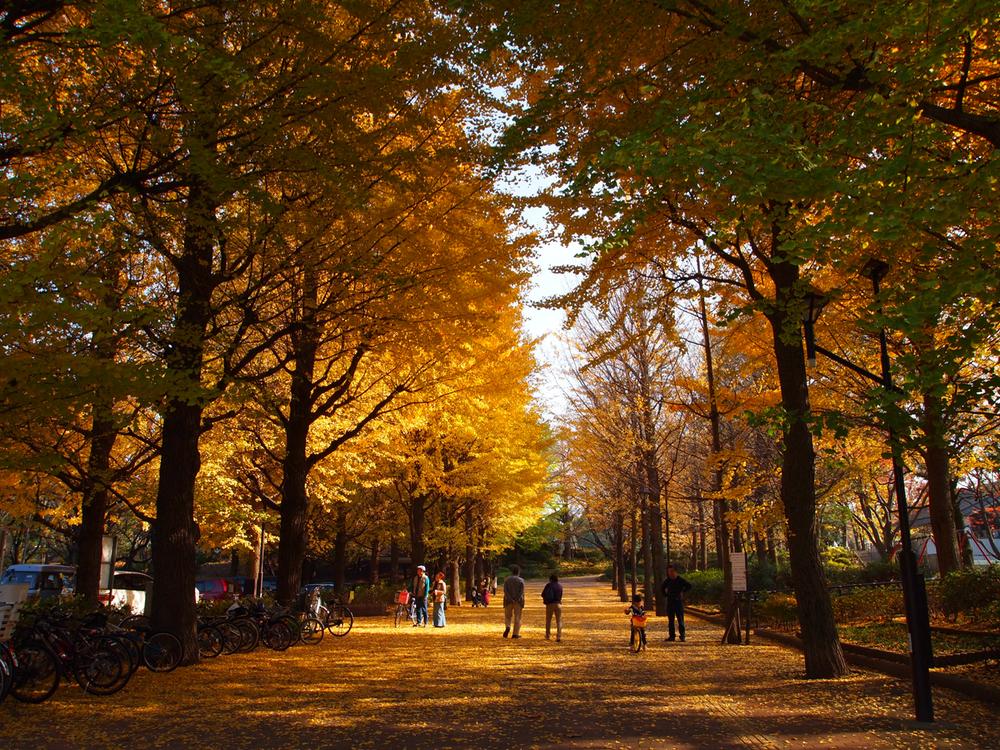 park. Johoku to Central Park 320m