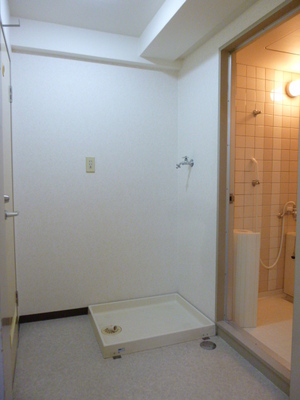 Other room space. Dressing room