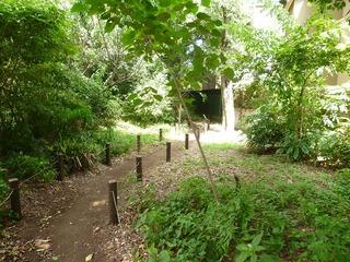 park. 984m to the forest green of Takeshita