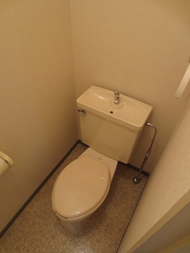 Toilet. Toilet